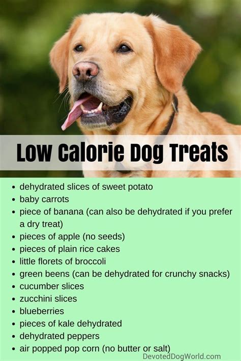 Low calorie / high protein treats your dogs will love. Diy Low Calorie Dog Treats : Low Fat and Low Calorie Dog ...