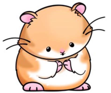 Hamster Cute Animal Clipart Animal Drawings Cute Cartoon Animals
