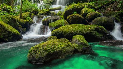 Waterfall In Green Forest In Jungle At Phu Tub Berk Mountainphetchabun