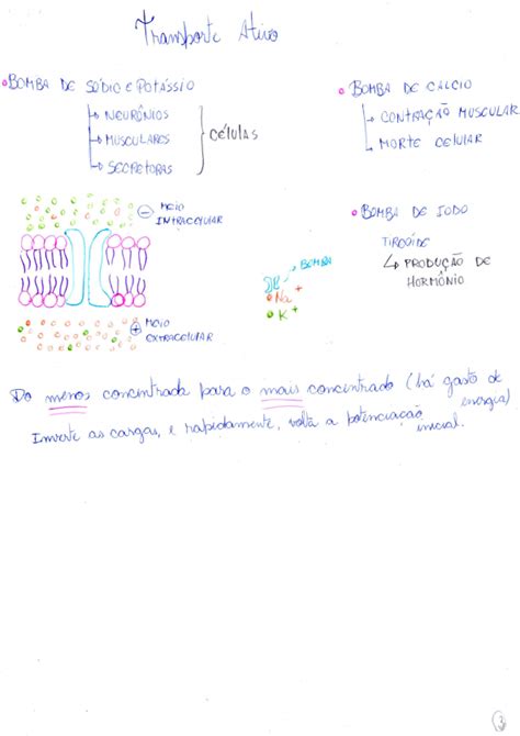 Resumo Sobre Membrana Plasmatica Biologia Molecular