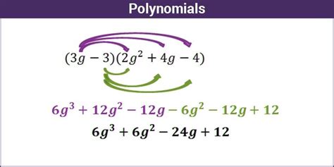 Polynomials Worksheets With Solutions Monomials And Polynomials