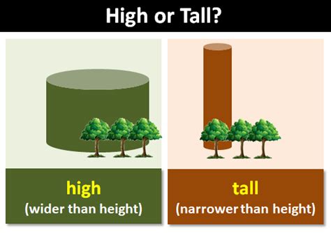 High Or Tall