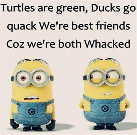 Minions are a new trend on the internet, whatever the topic be these minions memes are sure to pop up one here are the best funny minion quotes ever! Top 50 Best Friendship Quotes | Quotes and Humor