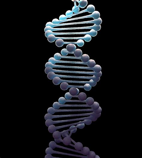 Dna Molecule Artwork Digital Art By Andrzej Wojcicki
