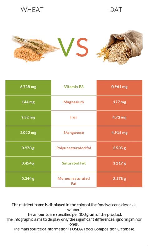 Wheat Vs Oat — In Depth Nutrition Comparison