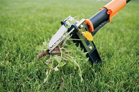 Weed Puller Tool For Removing Weeds Garden Hand Tools And Equipment Yard