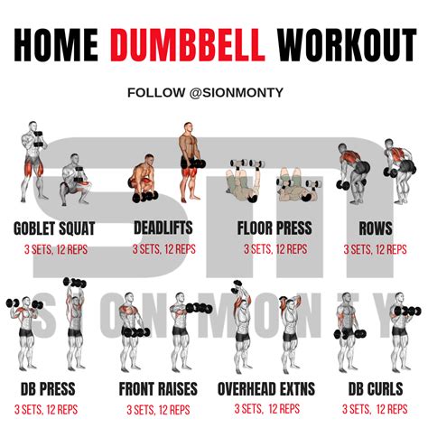 Home Dumbbell Workout By Sion Monty