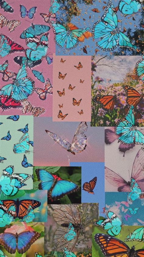 Butterfly Collage Wallpapers Wallpaper Cave