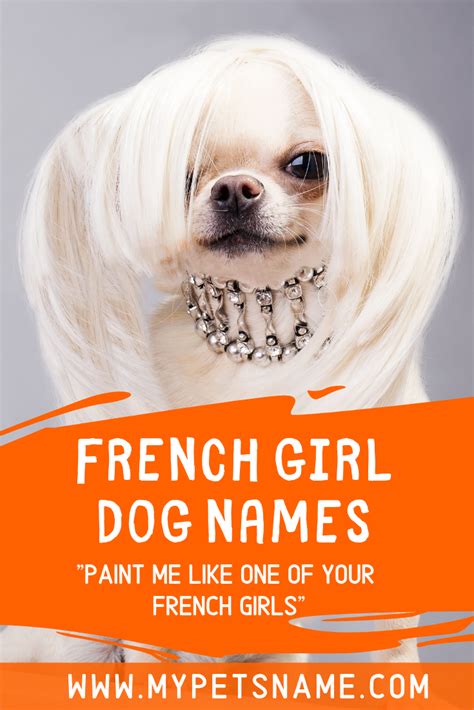 Perhaps chai would be a good fit. French Girl Dog Names | Dog names, Girl dog names, French ...