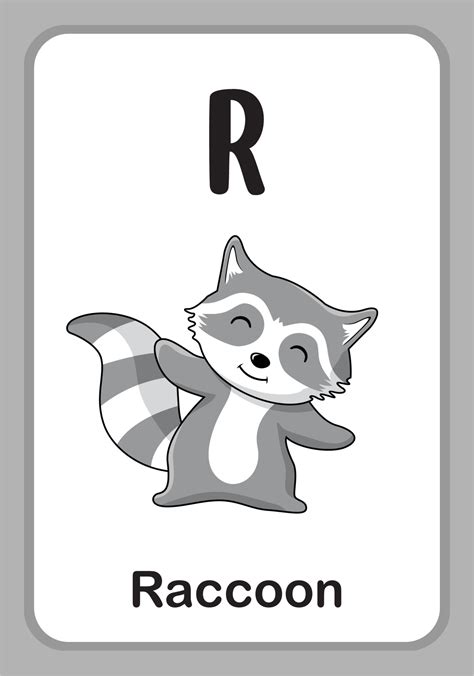 Animal Alphabet Education Flashcards R For Raccoon 4705592 Vector Art
