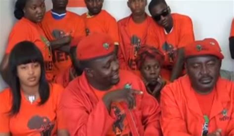 Namibian Economic Freedom Fighters Gain Two Parliamentary Seats The Citizen