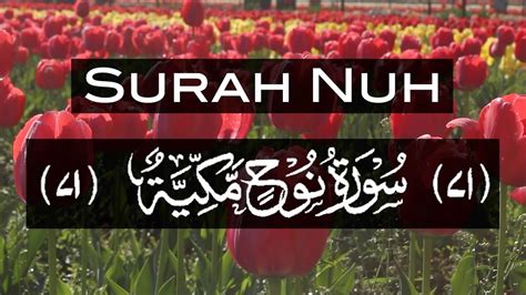 Beautiful Recitation Of Surah Nuh Surah Nuh With Arabic Text Surah My Xxx Hot Girl