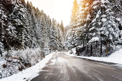 Icy Road Through A Snowy Forest In The Mountains Warmly Lit By A