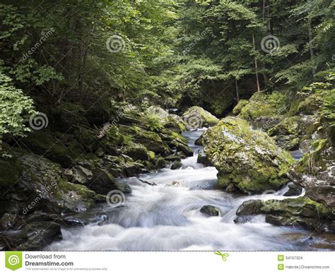 Wild River With Mossy Stones In Forest Stock Photo Image Of Waterfall