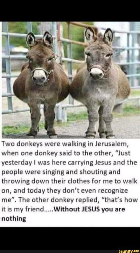 Two Donkeys Were Walking In Jerusalem When One Donkey Said To The