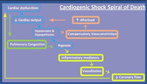 Cardiogenic Shock Emergency Care Bc