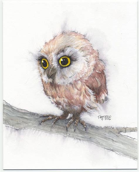 Baby Owl Watercolor Owl Watercolor Baby Owls Owl