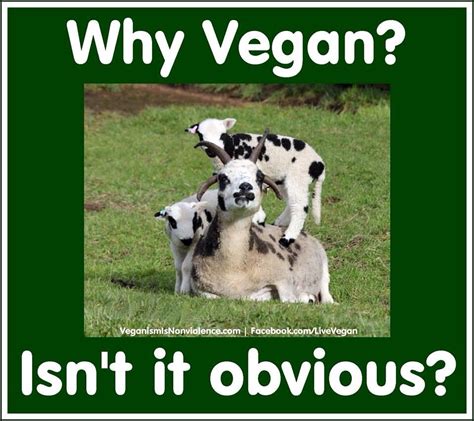 Go Vegan Why Vegan Vegan Recipes Vegan Food Animal Rights Health