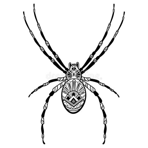 Spider With Patterns Zentangle Spider Black White Illustration Of An