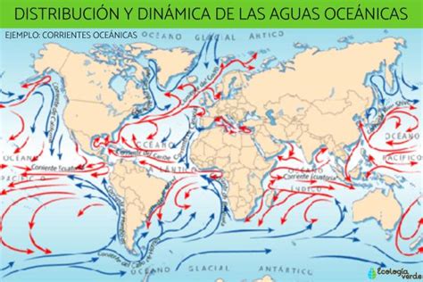 Distribución Y Dinámica De Las Aguas OceÁnicas ¡resumen