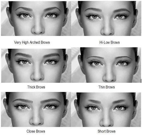 Pin By Liz Smith On Brow Inspiration Types Of Eyebrows Best Eyebrow