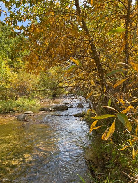 Autumn Arrives In Canyon Fan Photofridayblack Hills And Badlands