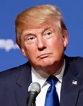 Image result for donald trump