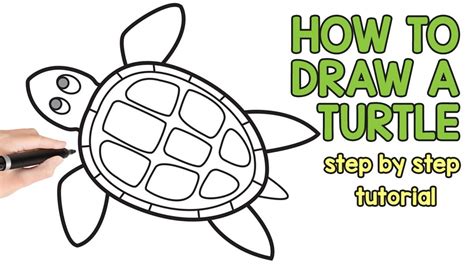 How To Draw A Turtle Step By Step Drawing Tutorial Youtube