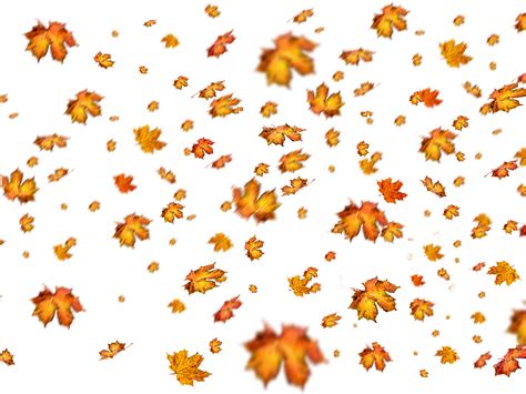 Fall Leaves Png Overlay For Photoshop Nature Grass And Foliage