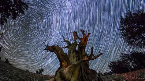 Dark Sky Designation Puts Joshua Tree National Park In A New Light