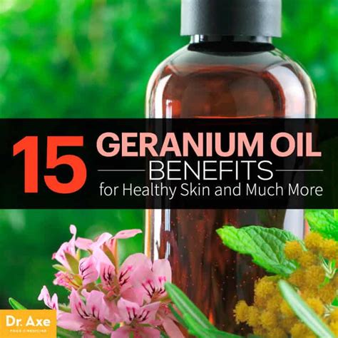 Geranium Oil Benefits For Healthy Skin And More Dr Axe