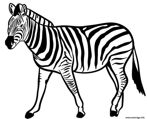 Coloriage Zebre Espece Herbivores Vivant En Afrique Dessin Animaux
