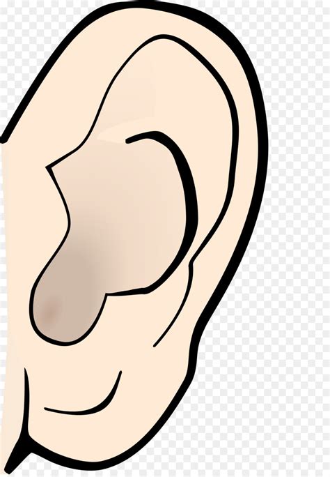 Free Ear Transparent Download Free Ear Transparent Png Images Free