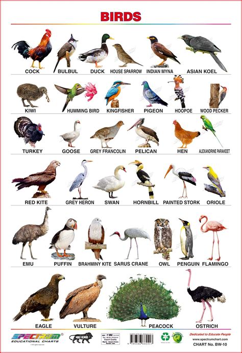 Animals Name In Sanskrit And Malayalam Idalias Salon