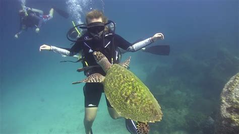 Padi Open Water Diver Course On Koh Tao In Thailand Best Scuba Diving Diving Course Scuba