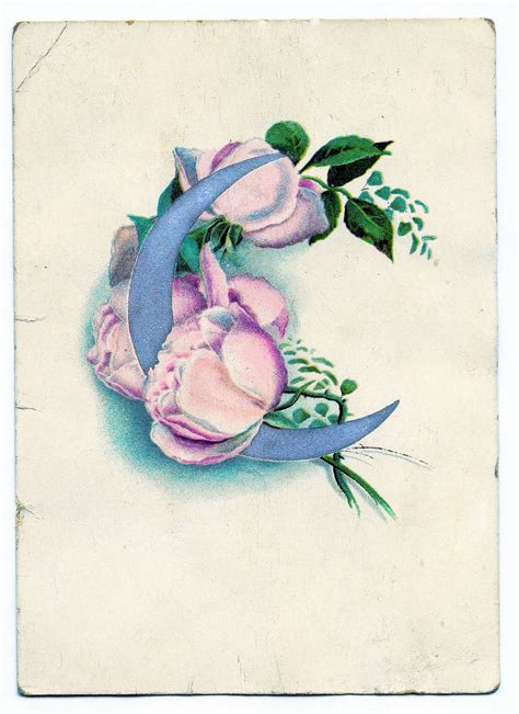Vintage Clip Art Pink Roses With Silvery Moon The