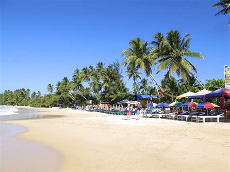 Mirissa Beach In Sri Lanka Is The Perfect Paradise For A Beach Lover