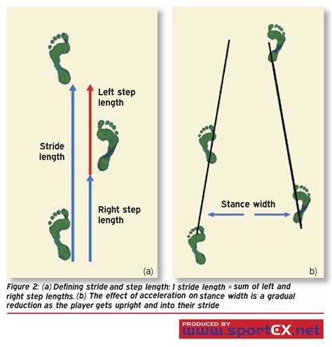 defining stride and step length 1 stride length sum of left and right step lengths b the