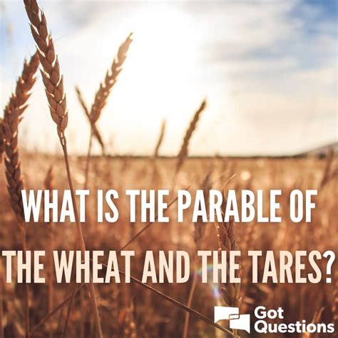 What Is The Parable Of The Wheat And The Tares