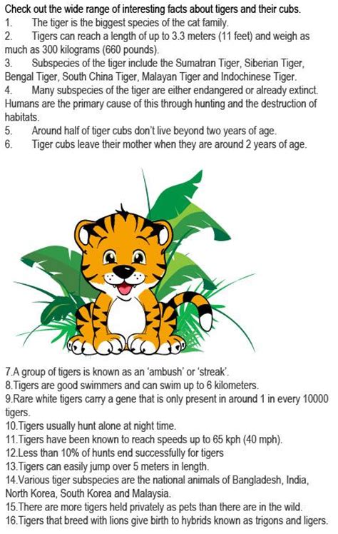Common ostrich facts for kids & adults: Facts about tigers for kids http://firstchildhoodeducation ...