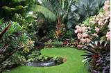 Pictures of Garden Design Qld