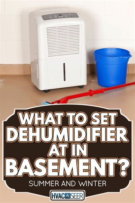 What To Set Dehumidifier At In Basement Summer And Winter