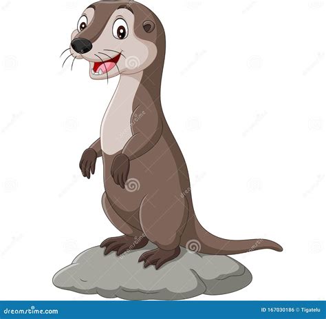 Cartoon Otter Standing On The Rock Stock Vector Illustration Of Happy