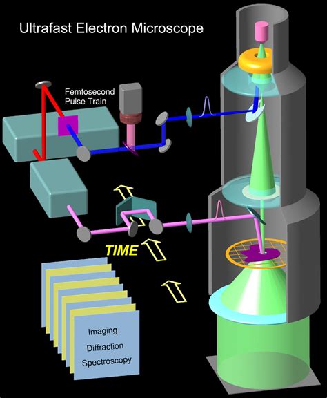 Four Dimensional Ultrafast Electron Microscopy Pnas