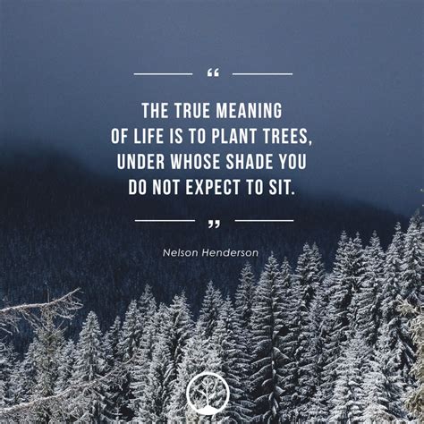 Inspirational Quotes About Trees One Tree Planted In 2020 Tree Of