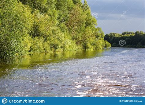 Bank Of The Forest River Stock Image Image Of Calm 196129533