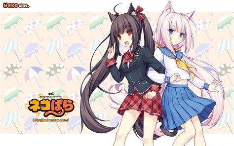 Nekopara Wallpaper Hd Pixelstalknet