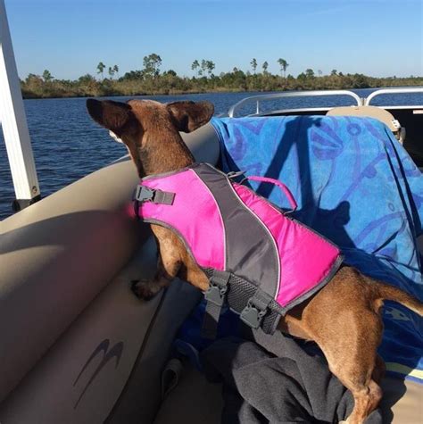 Anna Is Rocking Her Hot Pink Pfd On Their Pontoonboat Safety First Photo Courtesy Of Theresa