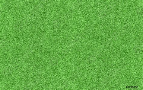 Green Grass Texture Background Top View Stock Photo Crushpixel