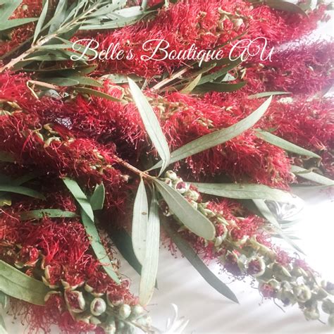 Entertaining inspiration · innovative cooking · recipes in season now Dried red Australian Native flowers, dried bottlebrush ...